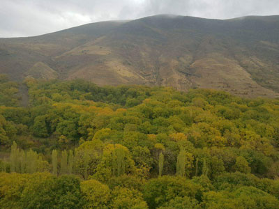 هرگلان